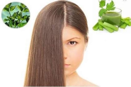 manfaat seledri untuk rambut green angelica penumbuh rambut cepat